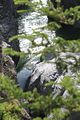 188 - Maligne Canyon, Medicine Lake, Maligne Lake - IMG_1104